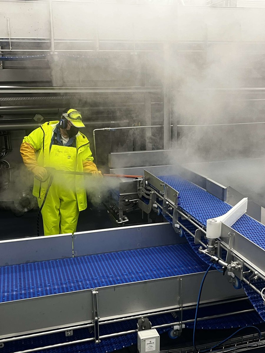 Rengøring med damp i fødevareindustrien