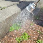 meclean-serie-cfb+-ukrudtsbekæmpelse