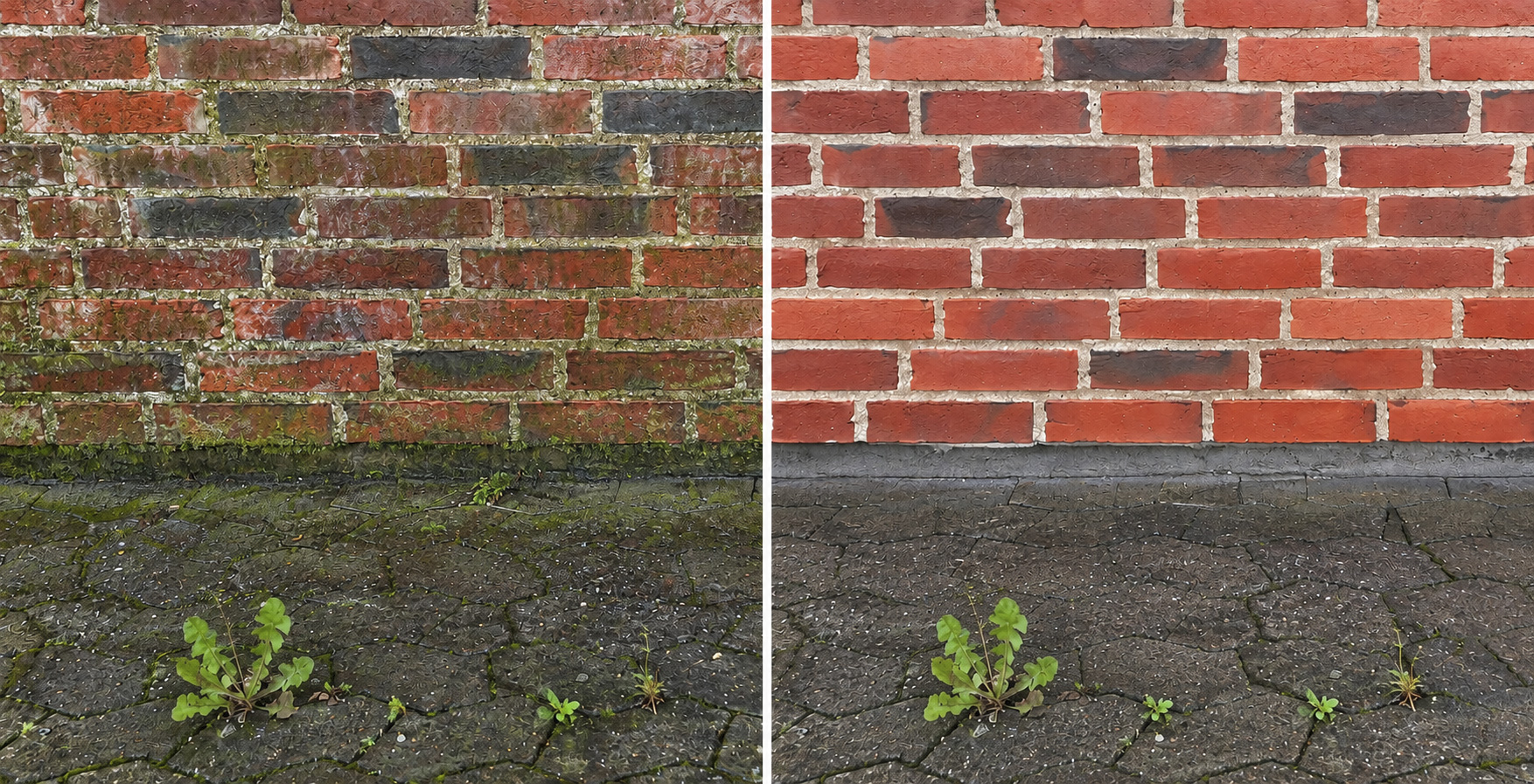 Rengør effektivt vintønder, tappeanlæg mm. med damp.